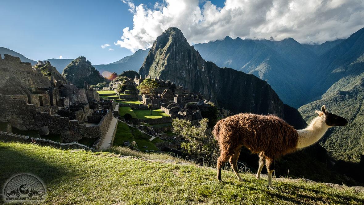 Anden, Fuji XT20, Llama, Machu Picchu, Motorradweltreise, Peru_DSCF0945_1180